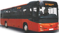 Автобус МАЗ-231