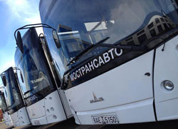 Автобусы «МАЗ» на маршрутах Подмосковья