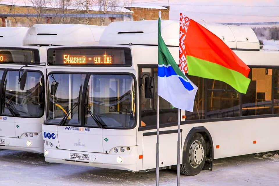 Новые автобусы МАЗ вышли на маршруты Новосибирска