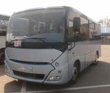 Автобус МАЗ-241