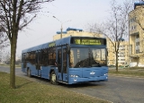 Пригородный автобус большого класса МАЗ 103562